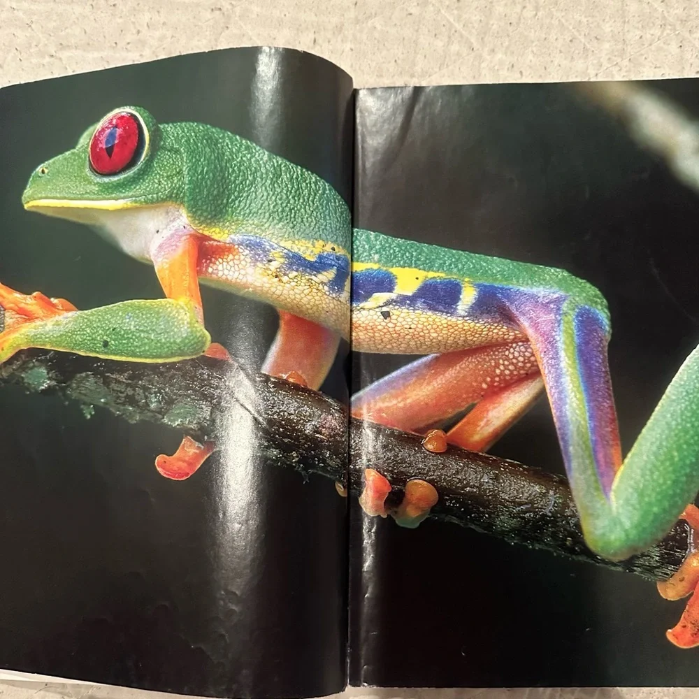 Amazing Animals Q&A- everything you never knew about the animal kingdom - Picture 2 of 10